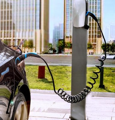 Goede prijs het Type van 32A 480V 22kW - 2 AC Lader 2 rolde Type - 2 EV Schakelaar online